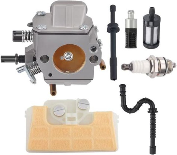 100 Facts So Crazy You Won't Believe They're Actually True