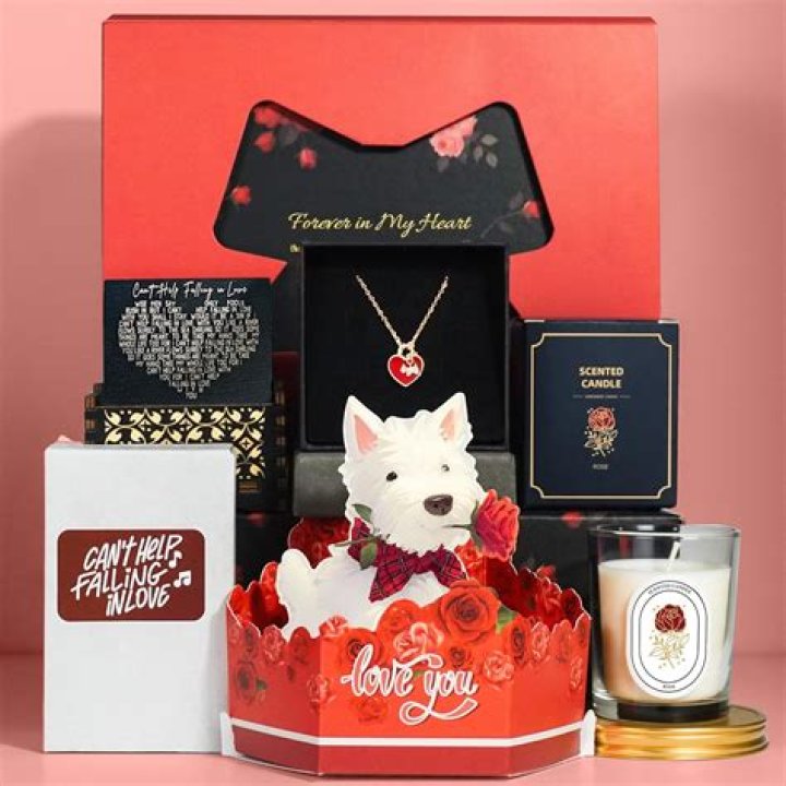 20 Christmas Presents For The Dog Lover In Your Life