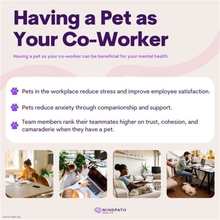 25 Photos Proving Dogs Are the Best Co-Workers