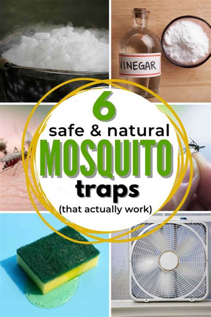 6 Mosquito Repellent Hacks That Actually Work — Best Life