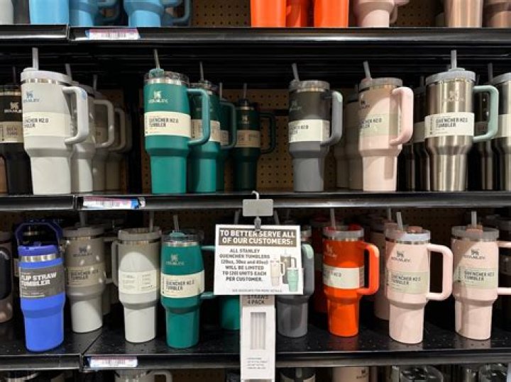 7 Best Stanley Tumbler Dupes, Retail Experts Say