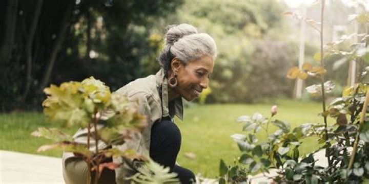 7 Best Tips for Keeping Outdoor Plants Alive During a Heat Wave