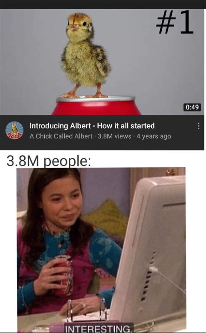 A Chick Called Albert video statistics