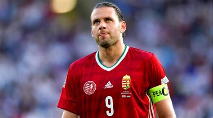 Adam Szalai Bio - net worth