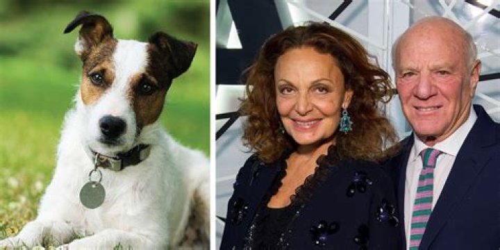 Billionaire Barry Diller Has His Dog Cloned