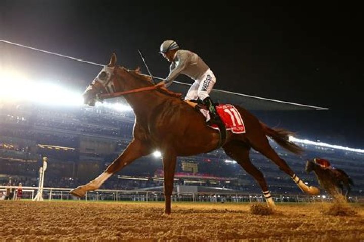 California Chrome Races Into The Record Books With A Big Win In Dubai