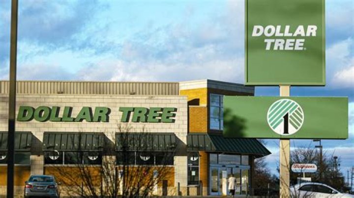 Dollar Tree Shoppers Recommend 7 New Garden Items: "You Can't Beat $1.25"