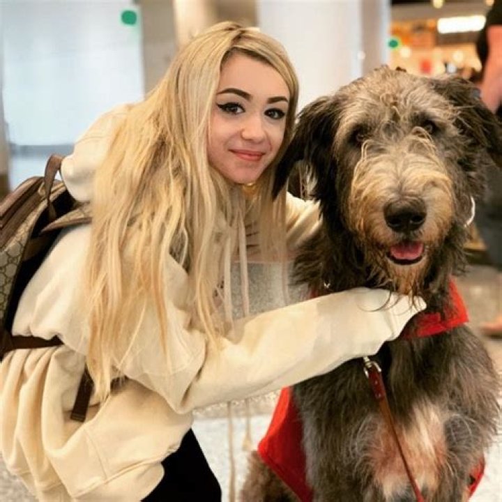 Emery Bingham Height, Weight, Age, Boyfriend, Family, Facts, Biography