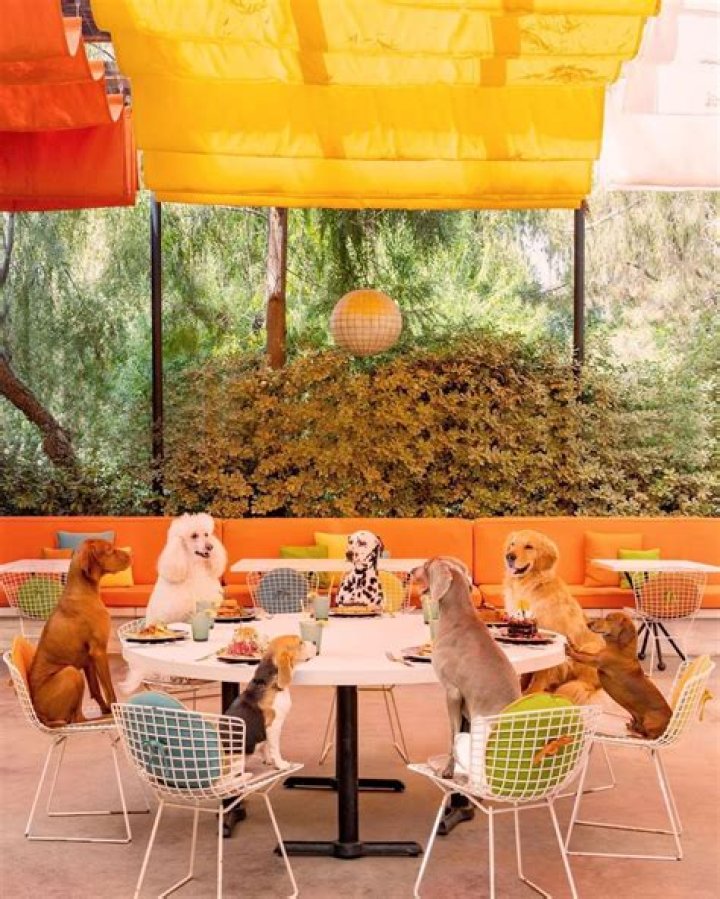 Gray Malin - Bio, Age, Wiki, Facts and Family