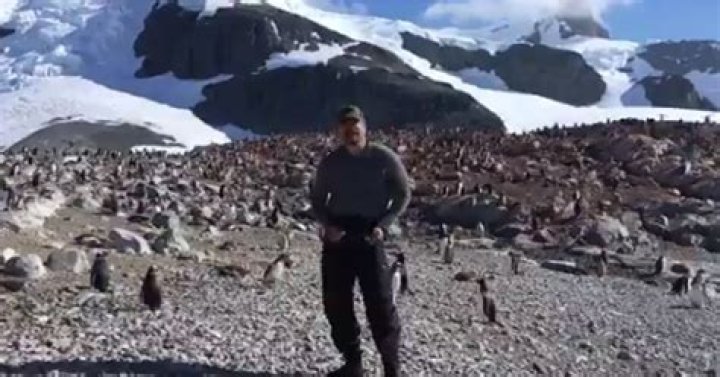 Here's the Hilarious Video of David Harbour Dancing with Penguins in Antarctica
