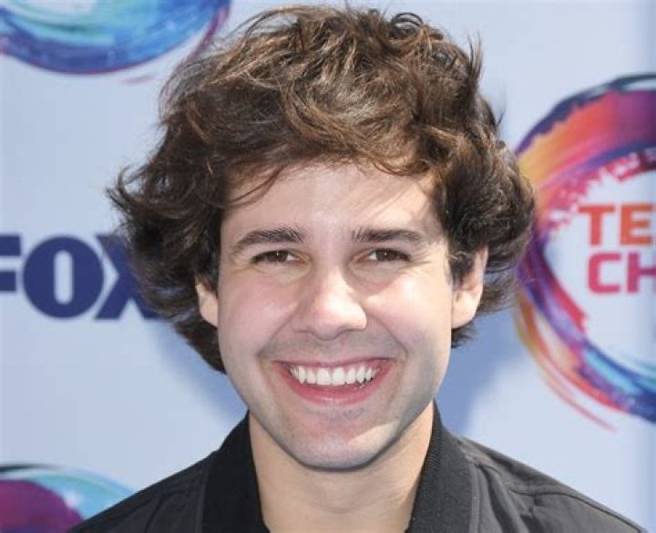 How Did David Dobrik Make His Money?