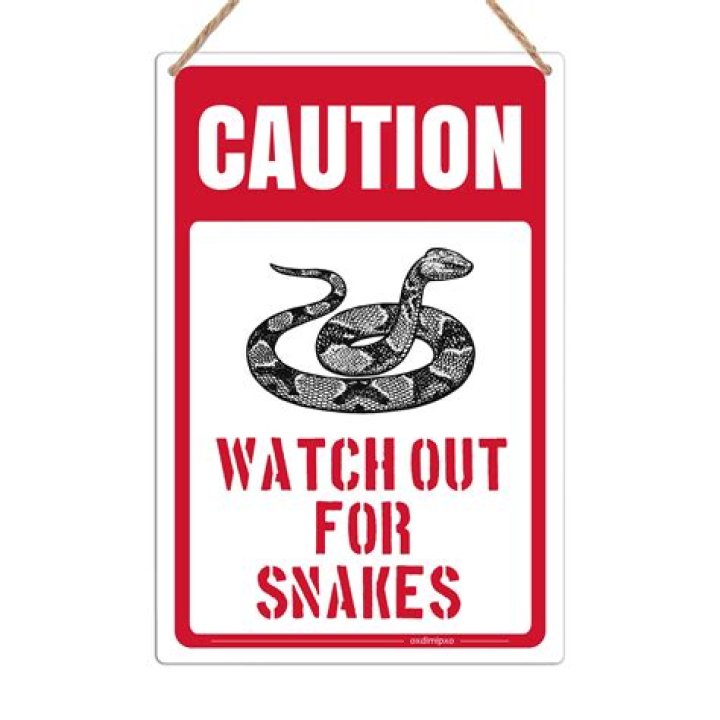 If You Live Here, Watch Out for "Snakes All Over the Place," Officials Caution