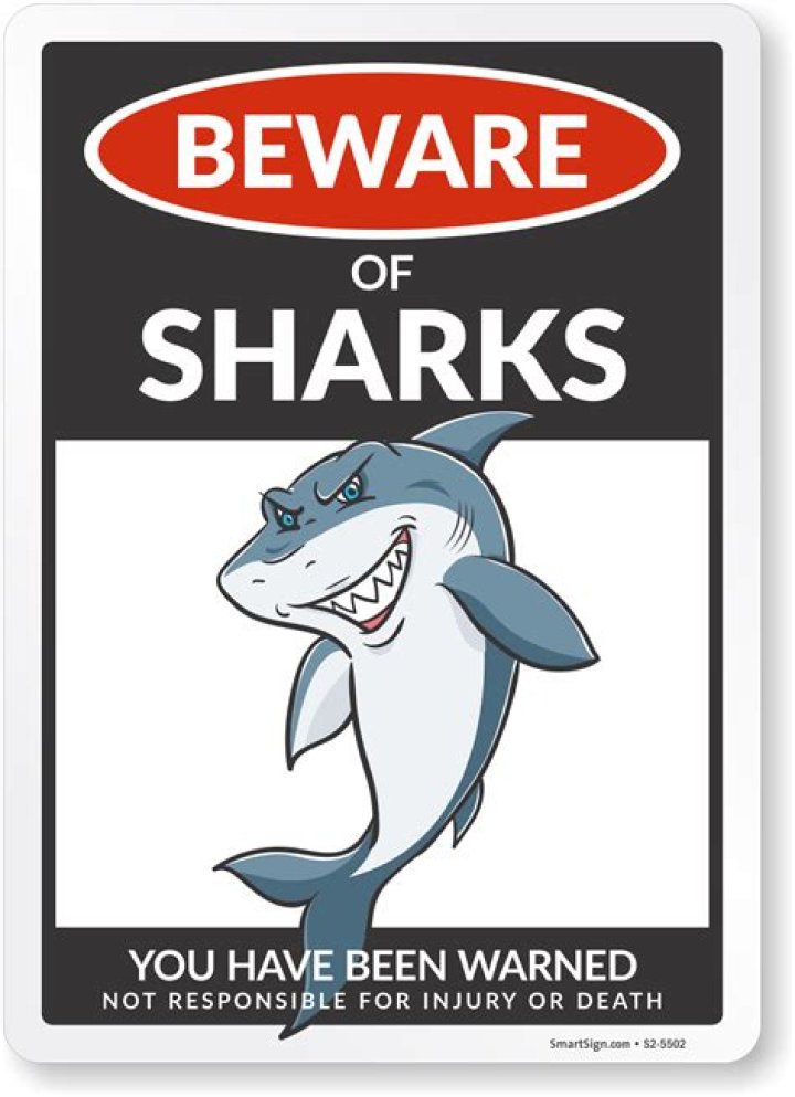 If You See This Growing in the Water, Beware of Sharks, Experts Say