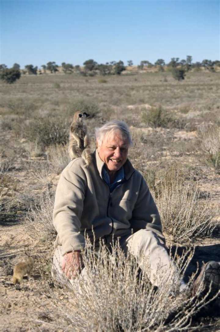 Is David Attenborough Vegan?