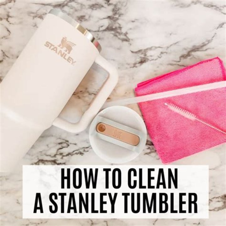 Is Your Stanley Tumbler a Hotbed for Germs? Experts Reveal How to Clean It Right