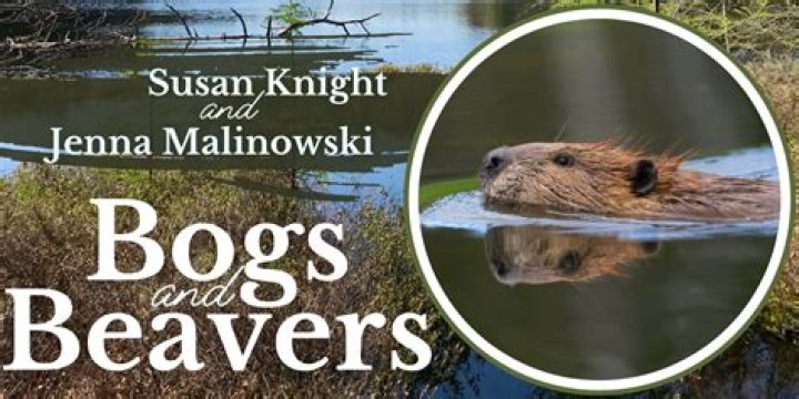 Jenna Beaver - Bio, Age, Wiki, Facts and Family