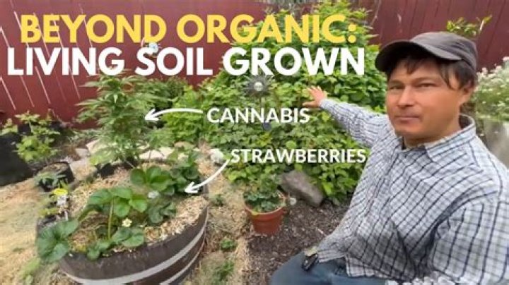 Learn Organic Gardening at GrowingYourGreens Youtuber overview