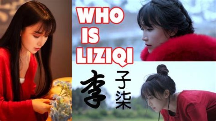 李子柒 Liziqi net worth, income and estimated earnings of Youtuber channel