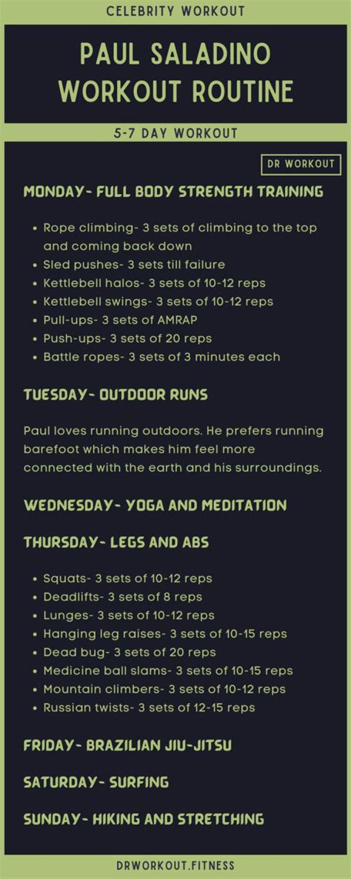 Malin Akerman Workout Routine and Diet Plan 2016 Edition