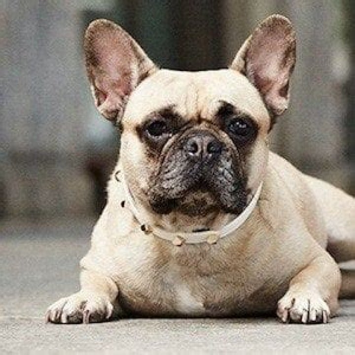 Matilda Ferragni - Bio, Age, Wiki, Facts and Family