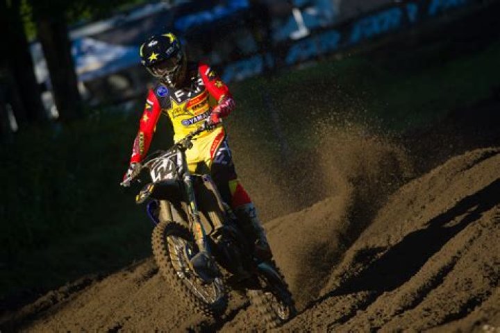 Phil Nicoletti - Bio, Age, Wiki, Facts and Family