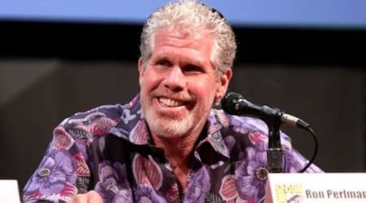 Ron Perlman Height, Weight, Age, Spouse, Family, Facts, Biography