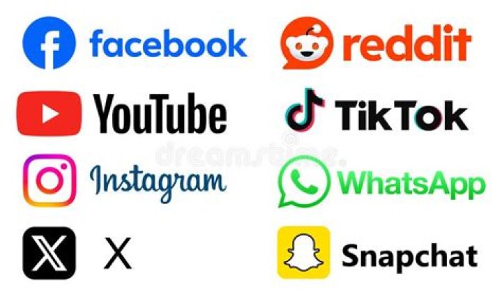 TheChicNatural (webvideostar) - Wikipedia, Age, Net Worth, Biography , Spotify, TikTok, Facebook, Facts and Family