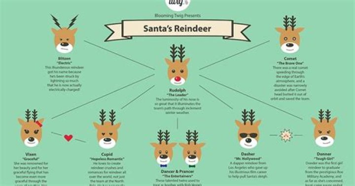 This Is Why Santa Has Reindeer