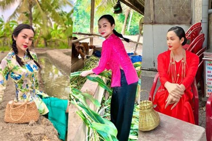 Thôn Nữ Miền Tây statistiques vidéo