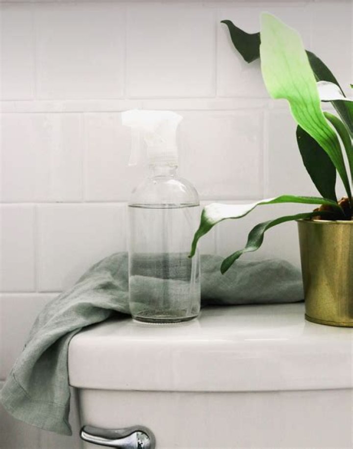 You Can Use an Ice Cube Tray to Get Your Toilet Sparkling Clean, Experts Say